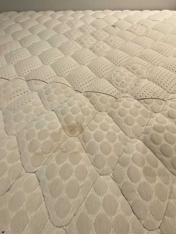 mattress-cleaning-expert-footscray