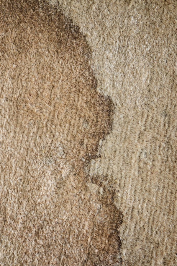 carpet-stain-removal-service-mount-waverley