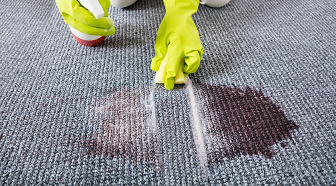 why-experts-never-recommend-diy-carpet-cleaning