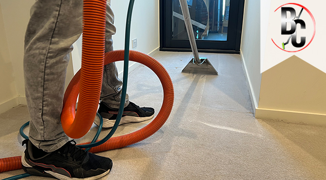5 Sure-fire Reasons That Makes Commercial Carpet Cleaning Important for Business