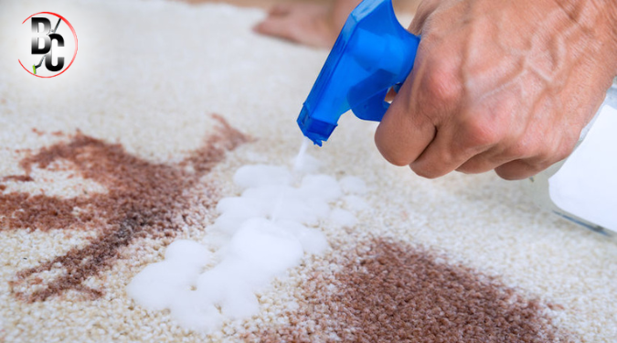 Professional Carpet Cleaning Melbourne