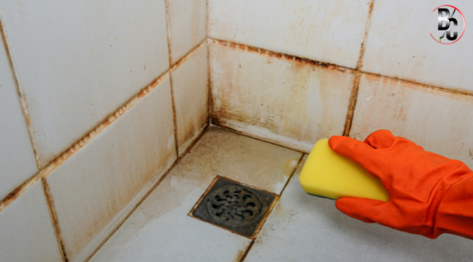 Why Professional Tile and Grout Cleaning is Worth the Investment