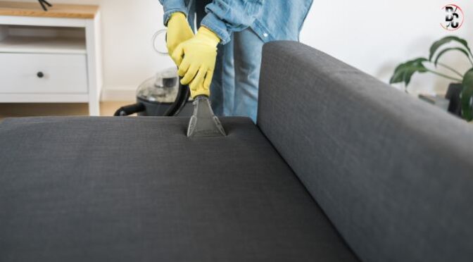 5 Reasons Why Professional Couch Cleaning is Worth Every Penny