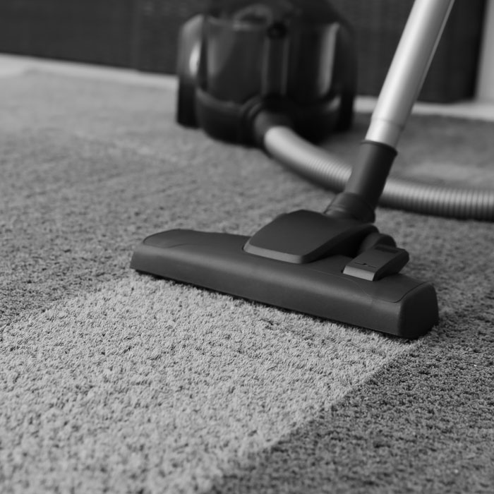 carpet-cleaning2
