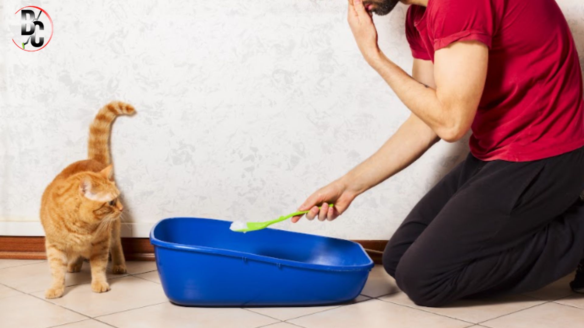 Deep cleaning for pet stains 