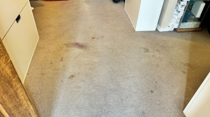 How to deep clean residential carpets 