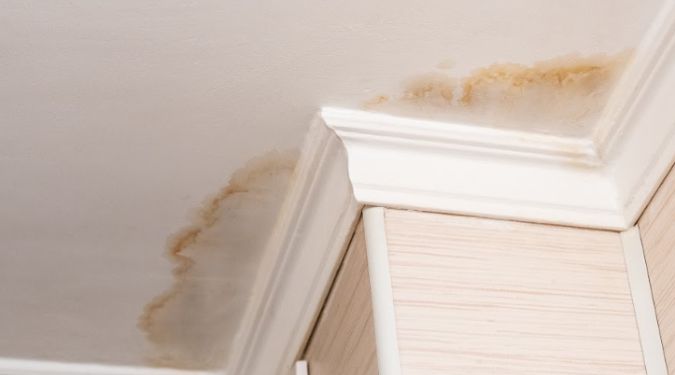 Professional stain care Melbourne 