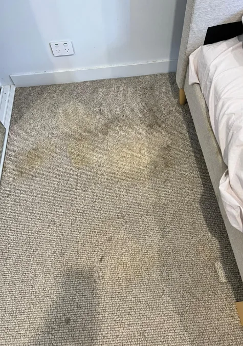Carpet stains