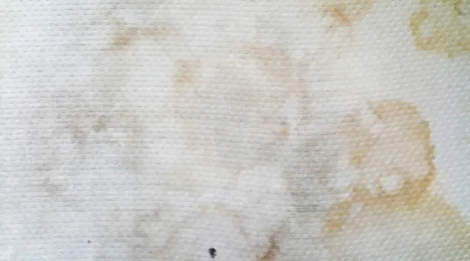 Dirty carpet stains