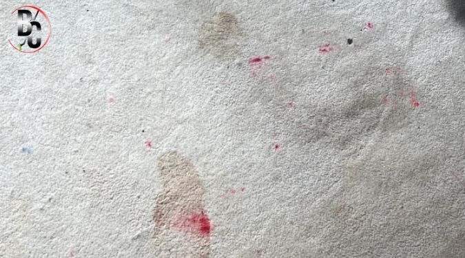 Melbourne’s top stain removal experts 