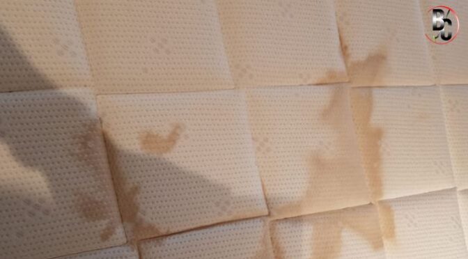 How Often Should You Schedule Mattress Cleaning to Avoid Bacteria Build-up?