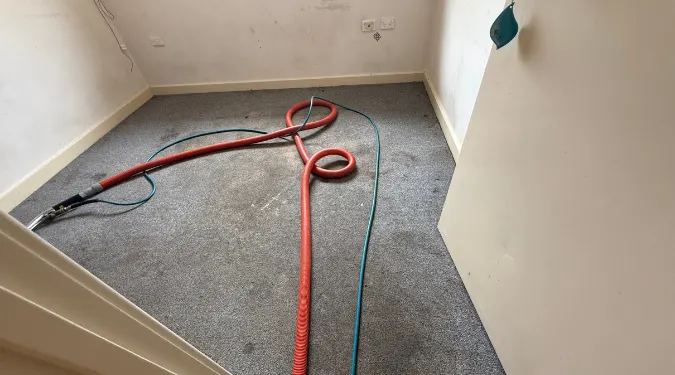 Professional Carpet Steam Cleaning