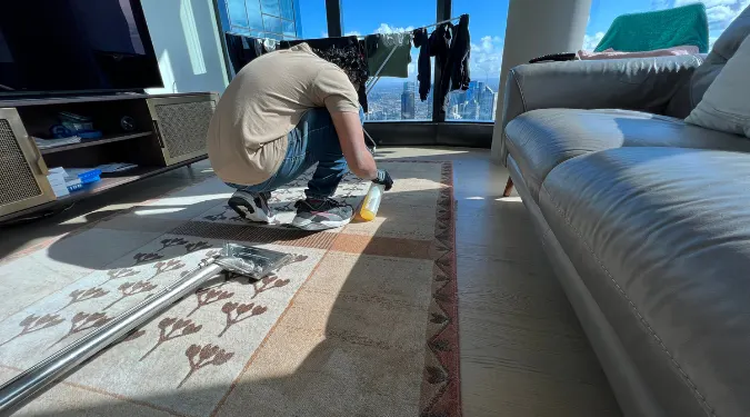 Professional carpet cleaner removing stains