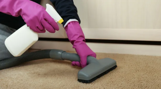 Professional carpet cleaning service