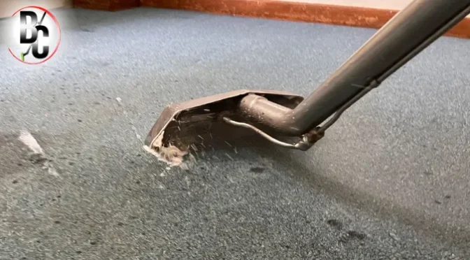 How Does Regular Steam Cleaning Preserve the Quality of Residential Carpets