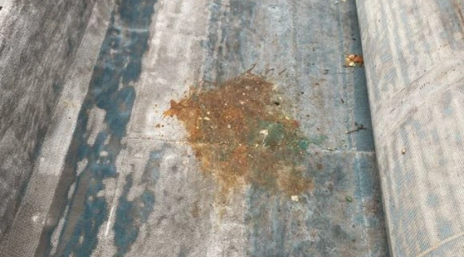 Dirty stained carpet require cleaning