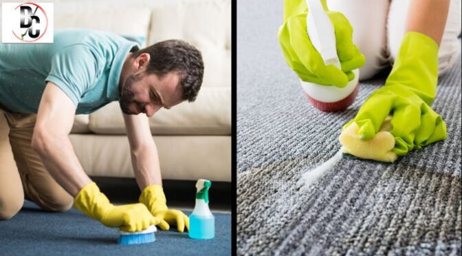 How to Choose the Best Carpet Cleaning Company for Your Office Carpets?