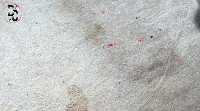 Melbourne’s top rug cleaning experts 