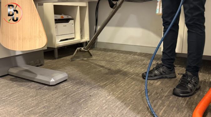 Professional carpet cleaning advice 