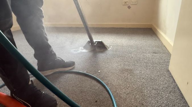 Rug steam cleaning for allergy prevention 