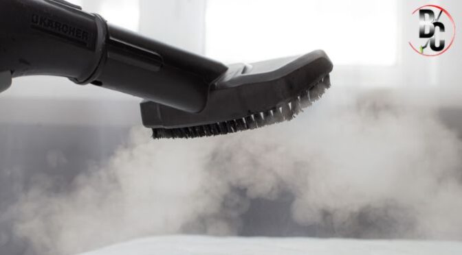 How Often Should You Steam Clean Carpets?