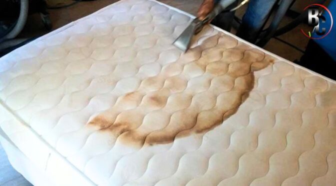 Mattress Cleaning Service vs Diy: What Actually Works Long-term?