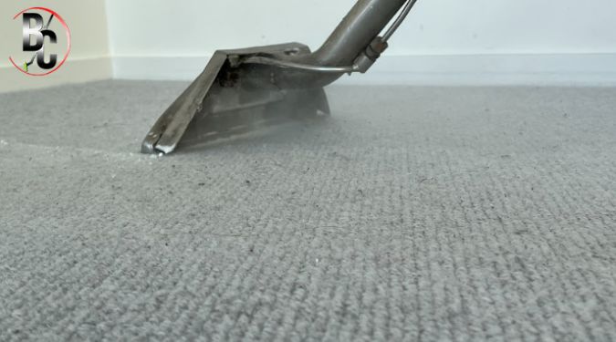 annual carpet steam clean 