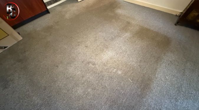 carpet sanitisation Melbourne