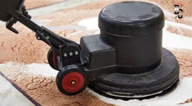 Do You Need Professional Carpet Cleaning After Moving In?