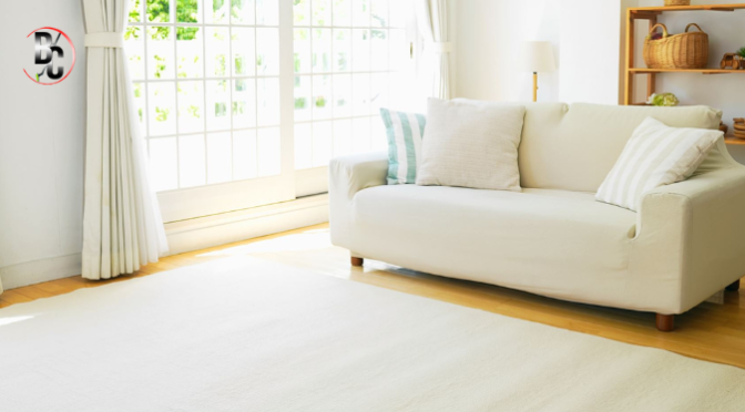 How to Remove Stains from Carpets and Sofas in Melbourne Homes