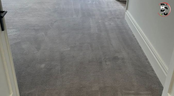 move out carpet steam cleaning,