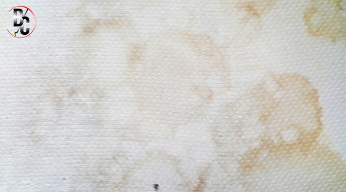 stain removal Melbourne