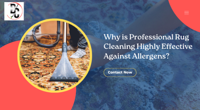 Why is Professional Rug Cleaning Highly Effective Against Allergens?