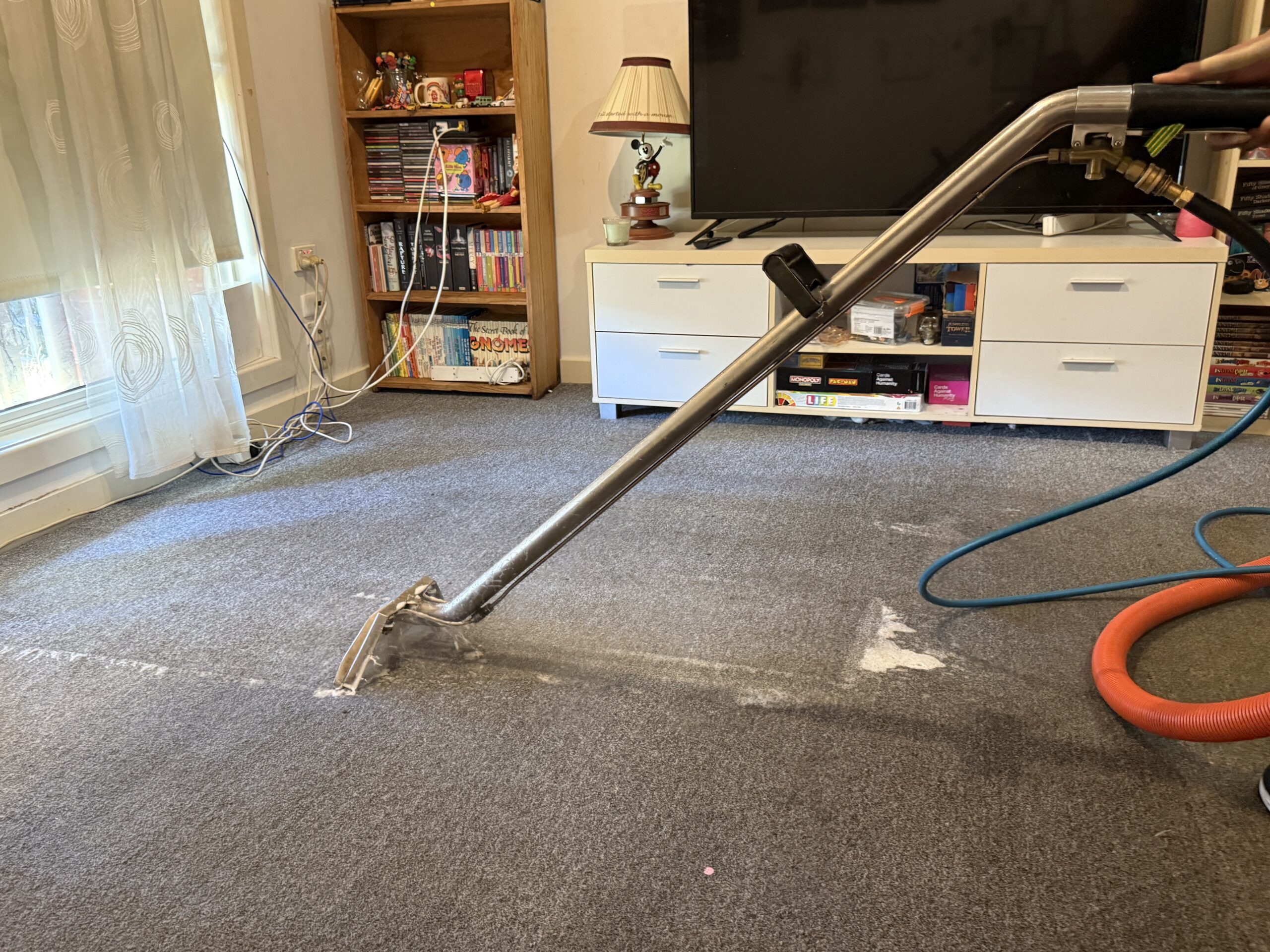 Professional carpet cleaning