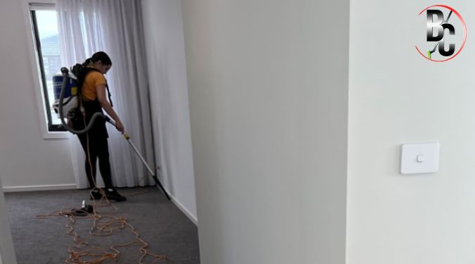 Financial Benefits of Regular Carpet Care