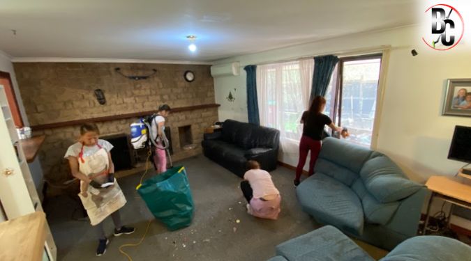 carpet cleaning frequency