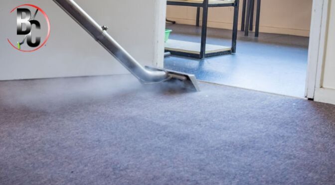 Why Steam Cleaning for Families Is the Healthiest Choice for Families With Kids & Pets