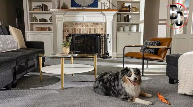 steam cleaning frequency