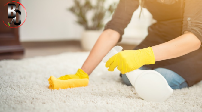 The Facility Manager’s Guide to Carpet Lifespan, Damage Prevention & Hygiene