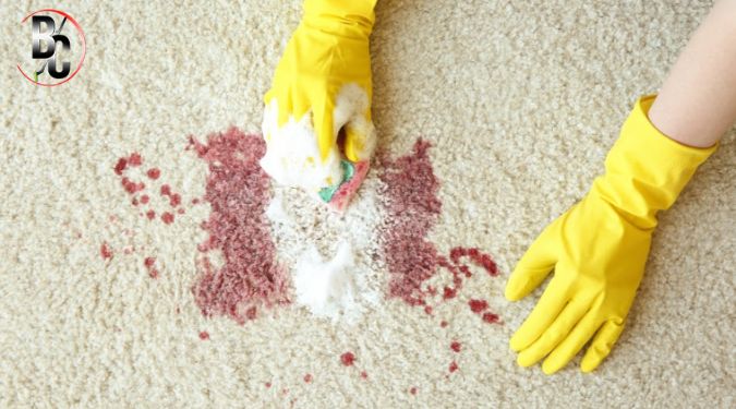 dog urine carpet removal 