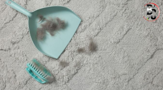 high traffic carpet solutions 