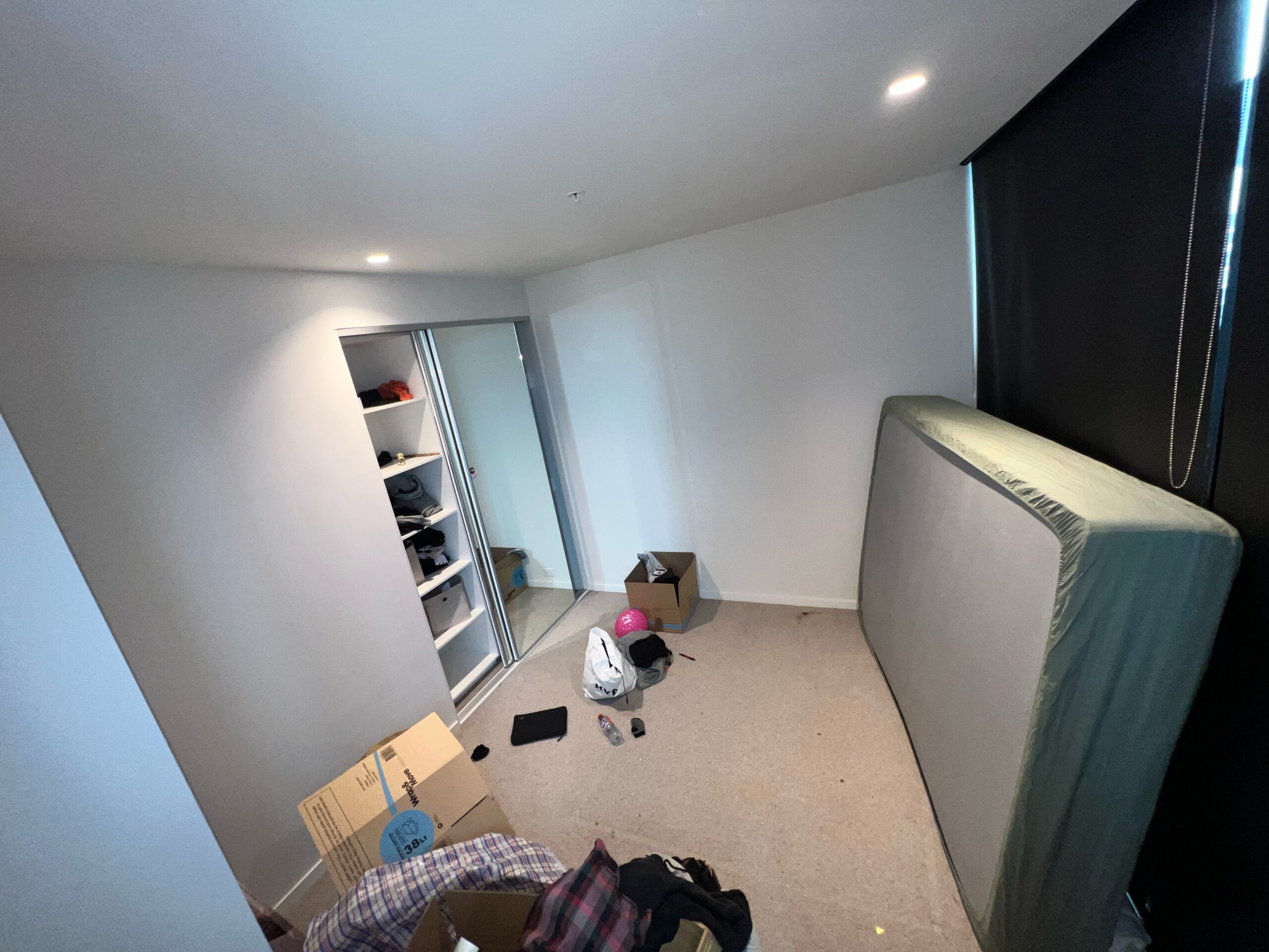 office carpet restoration