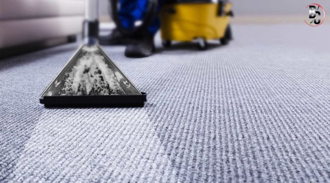carpet mould in offices 