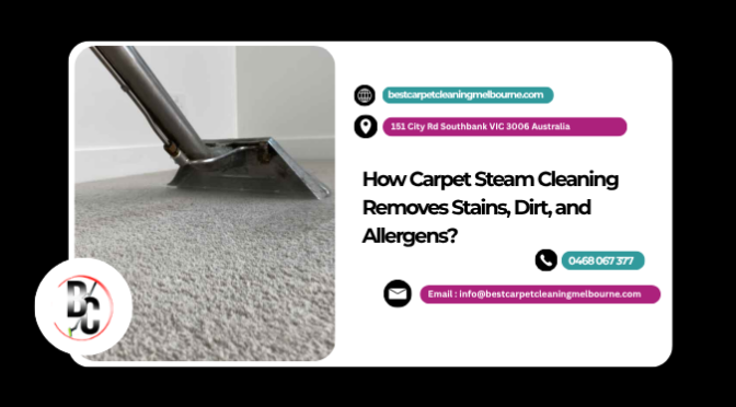 How Carpet Steam Cleaning Removes Stains, Dirt, and Allergens?