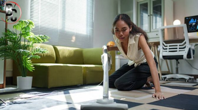 How to Maintain High Standards with a Commercial Carpet Cleaner?