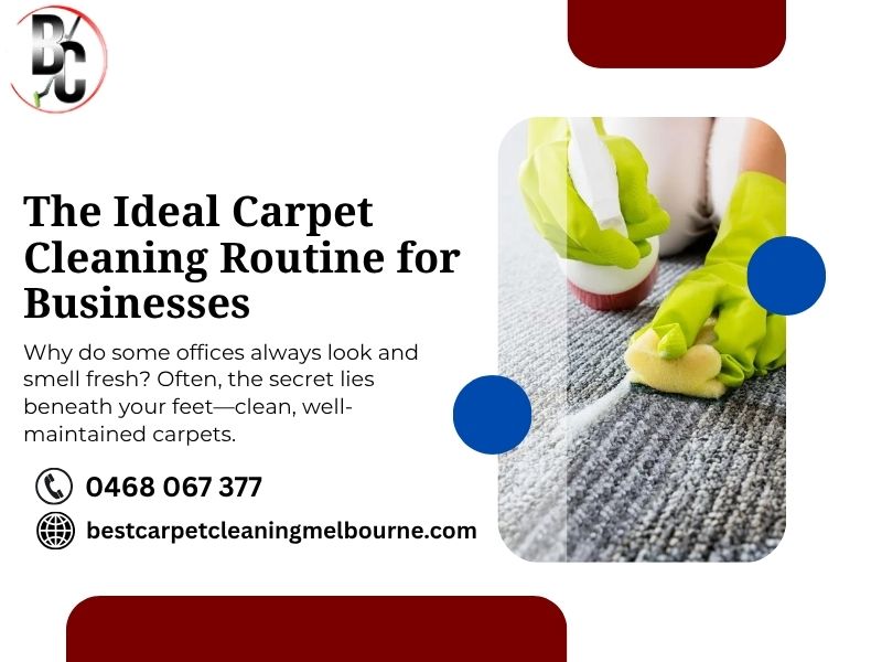 commercial carpet cleaning in altona north