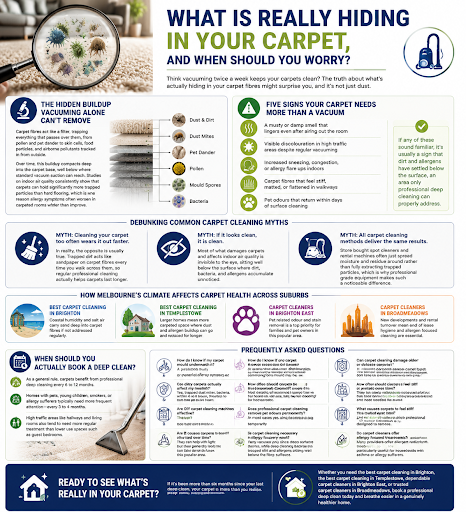 What Is Really Hiding in Your Carpet, and When Should You Worry