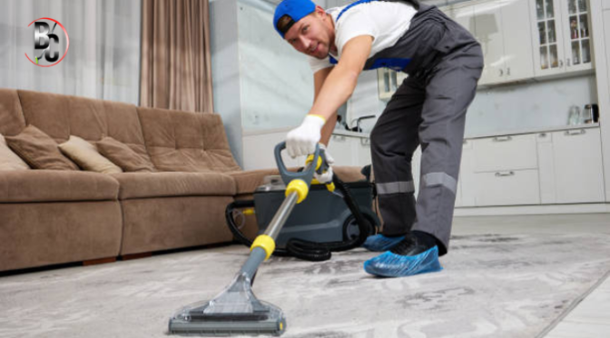 What Is Really Hiding in Your Carpet, and When Should You Worry?