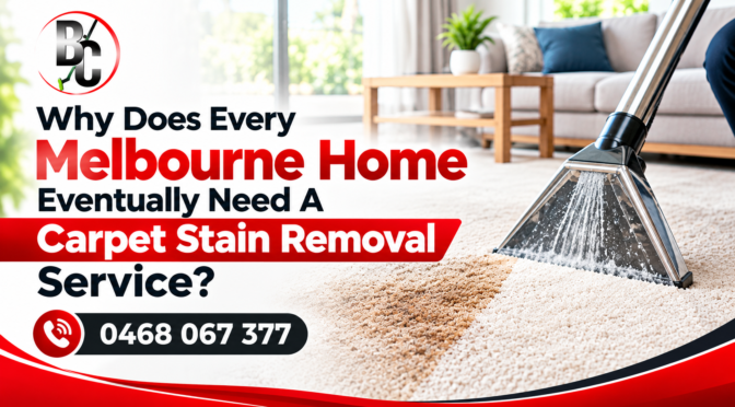 Why Does Every Melbourne Home Eventually Need A Carpet Stain Removal Service?
