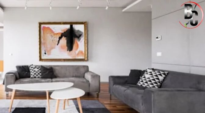 How Professional Upholstery Cleaning Helps Extend Furniture Lifespan?